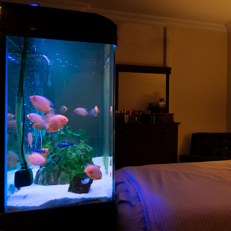 All In One Aquariums