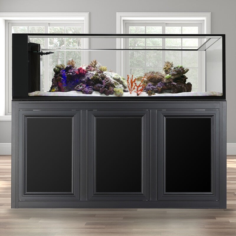 INT 200 Peninsula Aquarium with APS Stand - Black