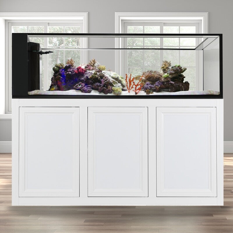 INT 200 Peninsula Aquarium with APS Stand - White