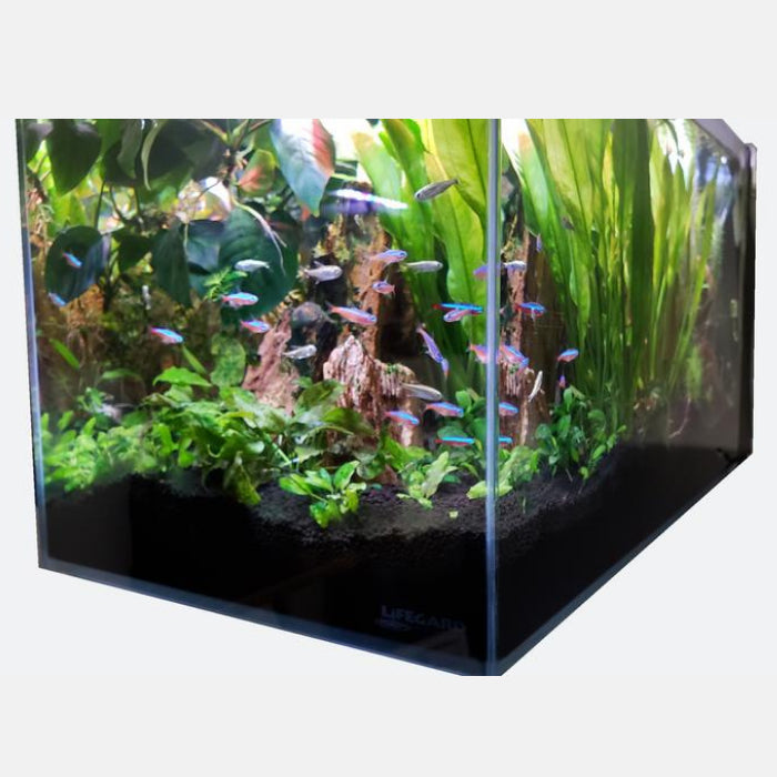 7 Gallon CRYSTAL 45 Degree Low Iron Ultra Clear Aquarium with Built in Side Filter-Lifegard Aquatics - Fish Tank USA
