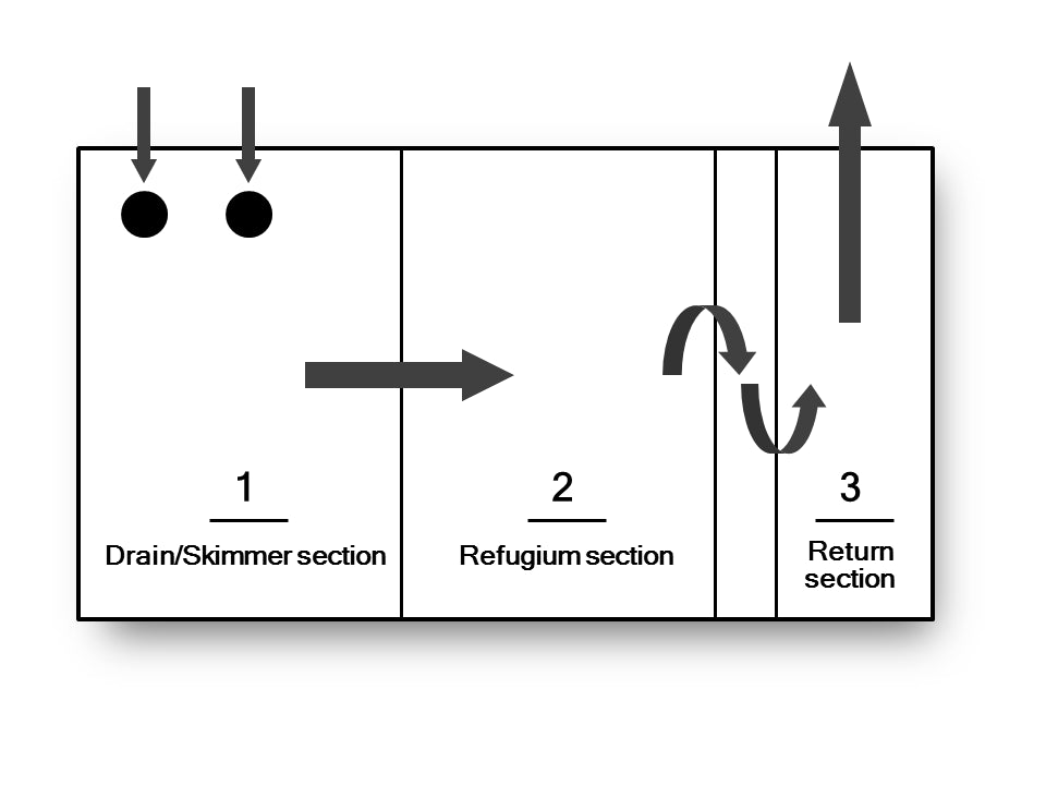 Trigger Systems Crystal Sump - 36S