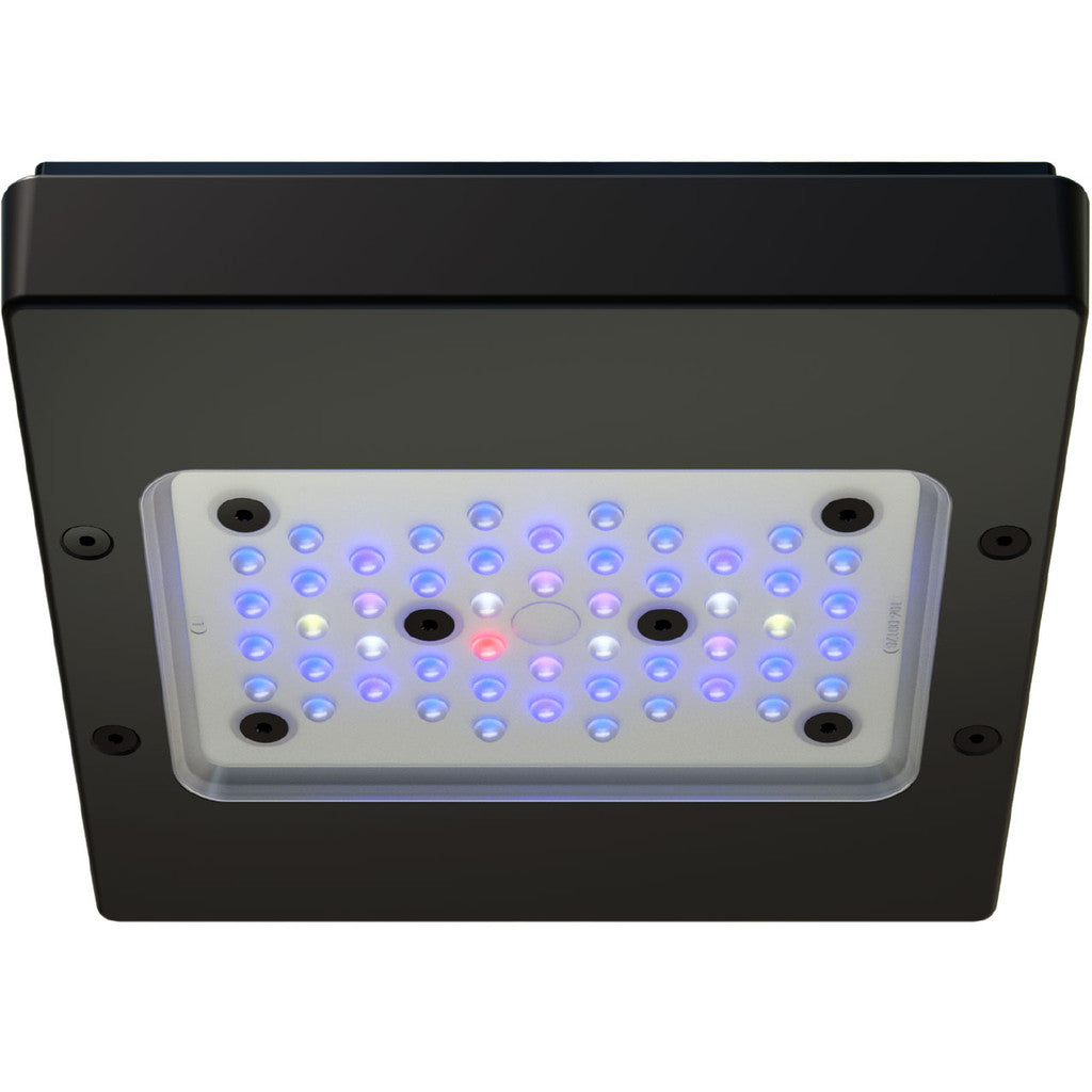 EcoTech Marine - Radion G6 XR15 Blue Aquarium LED Light Fixture