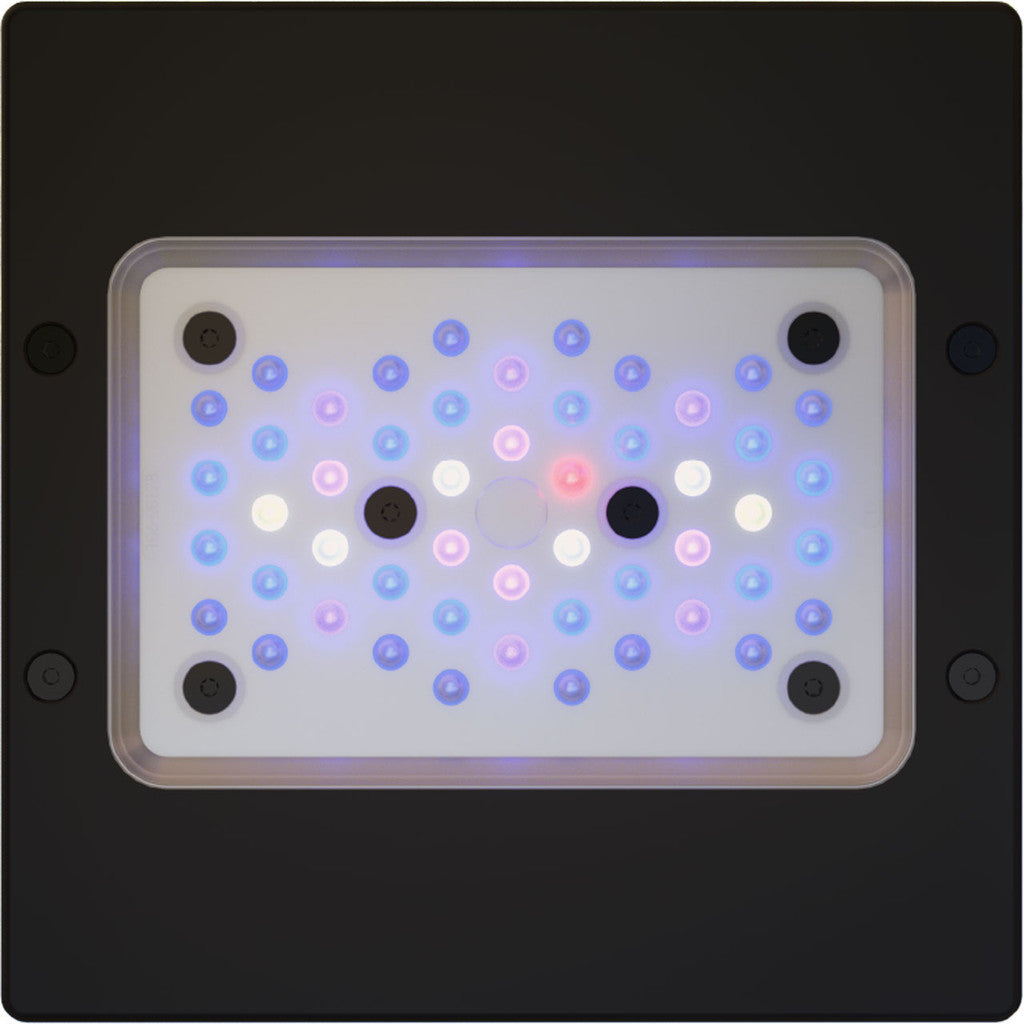 EcoTech Marine - Radion G6 XR15 Blue Aquarium LED Light Fixture