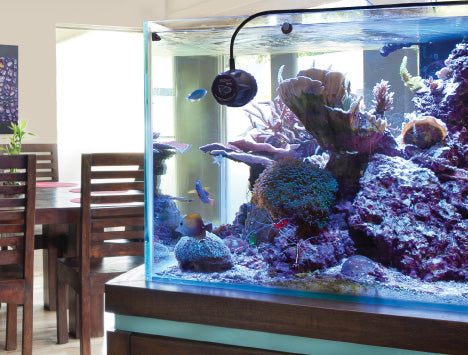 EcoTech Marine - VorTech MP10mQD Propeller Pump With Wireless Quiet Drive