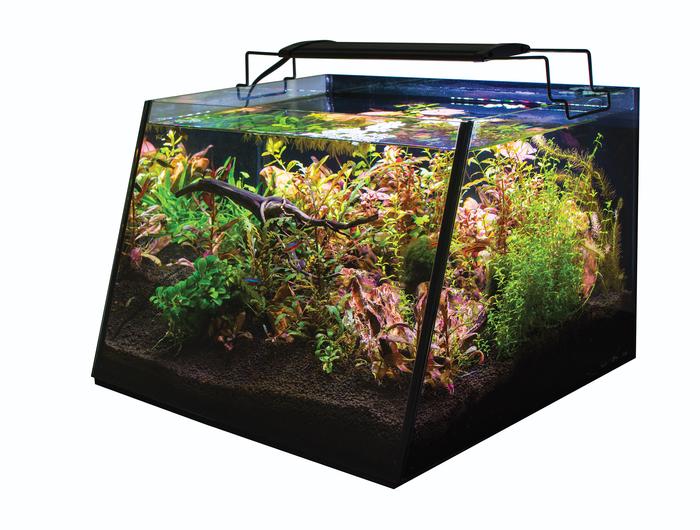 Lifegard Full-View 5 Gallon Aquarium with LED Light and Submersible Filter - Fish Tank USA