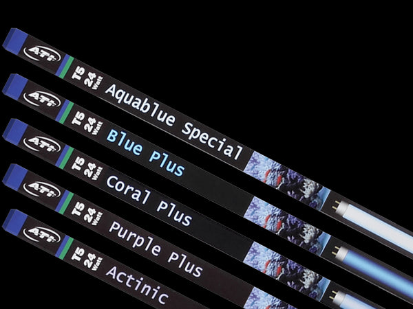 ATI T5 High-Output Light Bulb –Blue Plus - Fish Tank USA