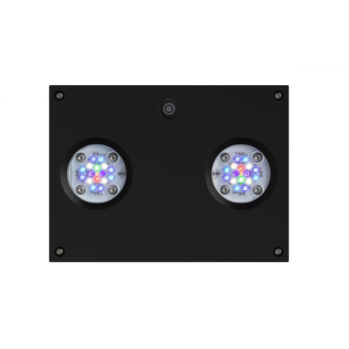 AI Hydra 32 HD LED Fixture