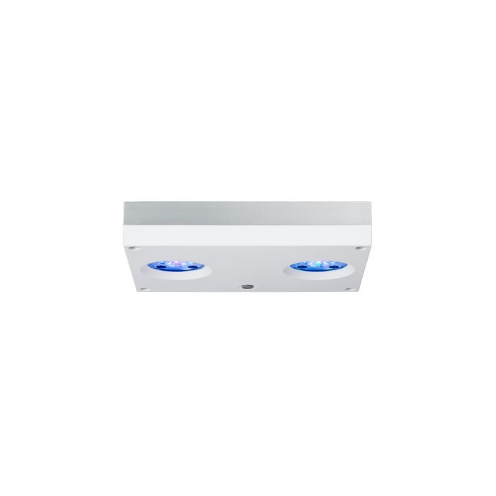 AI Hydra 32 HD LED Fixture