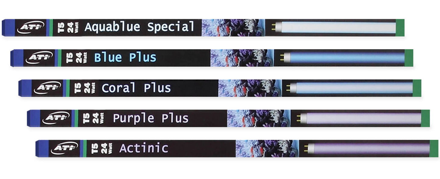 ATI T5 High-Output Light Bulb – Purple Plus - Fish Tank USA