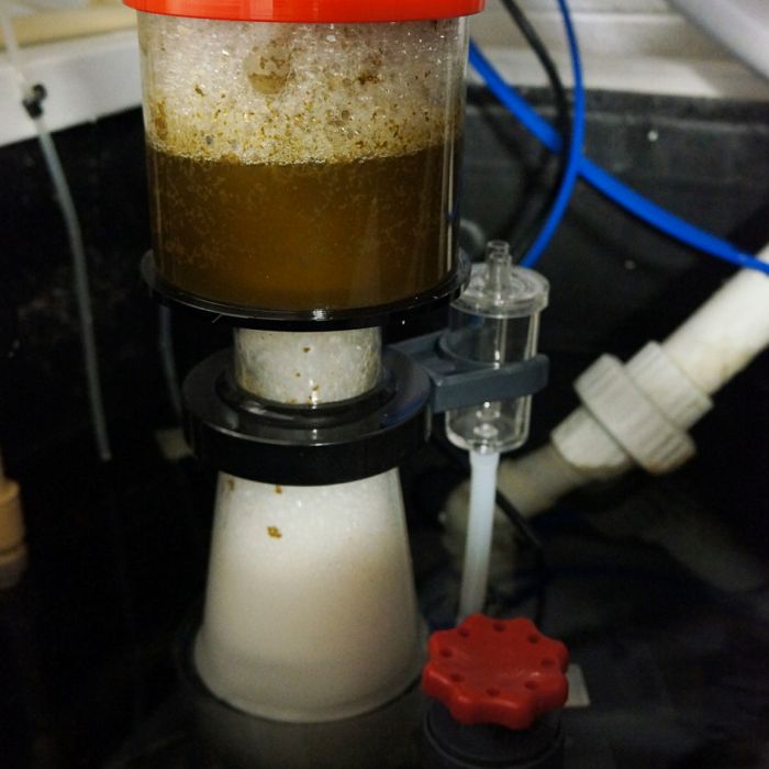 Classic 110INT Protein Skimmer - Fish Tank USA