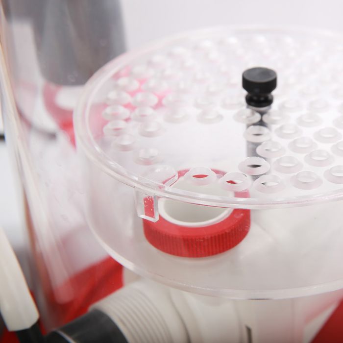 Regal 250SSS Protein Skimmer - Fish Tank USA