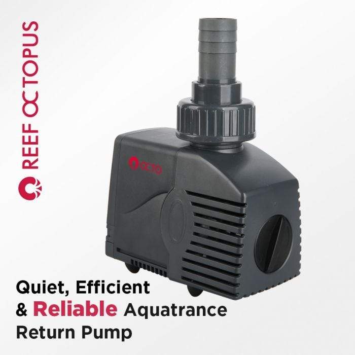 OCTO LUX 32gal Aquarium System with Black Cabinet - Fish Tank USA