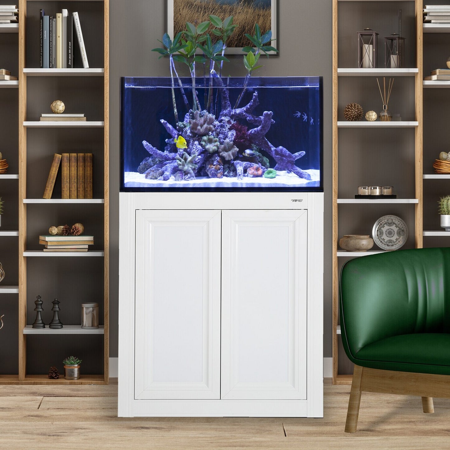 INT 50 Gallon Lagoon Aquarium Complete Reef System