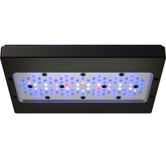 EcoTech Marine - Radion G6 XR30 BLUE Aquarium LED Light Fixture