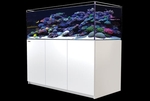 Reefer 625 G2+ System - 132 Gallon Reef Ready Aquarium - Red Sea [New]