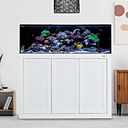 Fusion SR Pro 2 | 80 Gallon All in One (AIO) Shallow Reef Aquarium Bundle - Innovative Marine