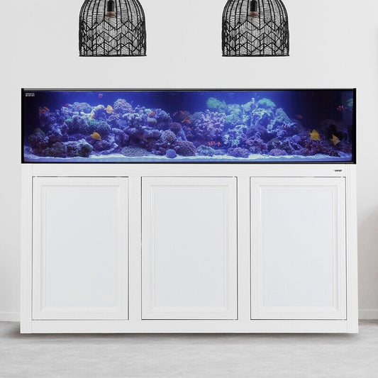 Fusion SR Pro 2 | 120 Gollan All in One (AIO) Sallow Reef Aquarium Bundle - Innovative Marine