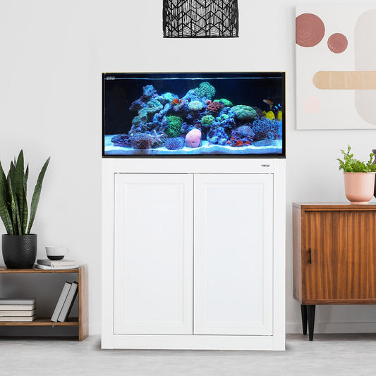 Fusion SR Pro 2 | 60 Gollan All in One (AIO) Sallow Reef Aquarium Bundle - Innovative Marine