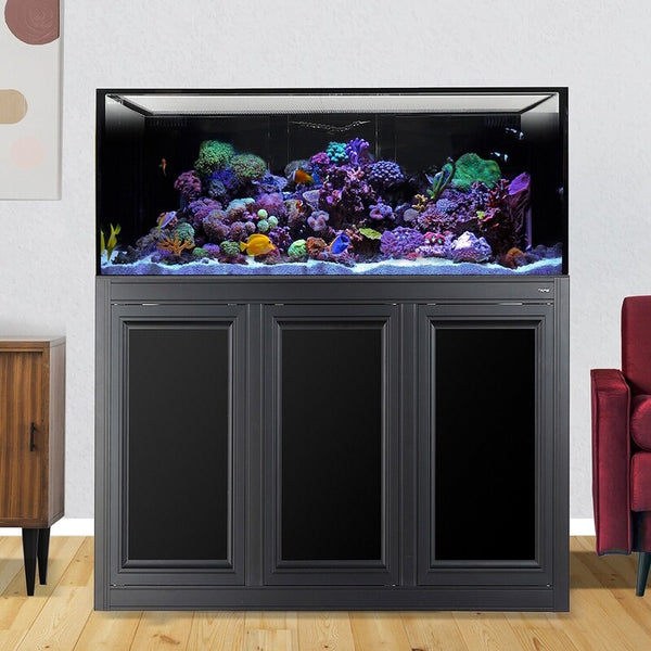 INT 150 Lagoon Aquarium with APS Stand - Black