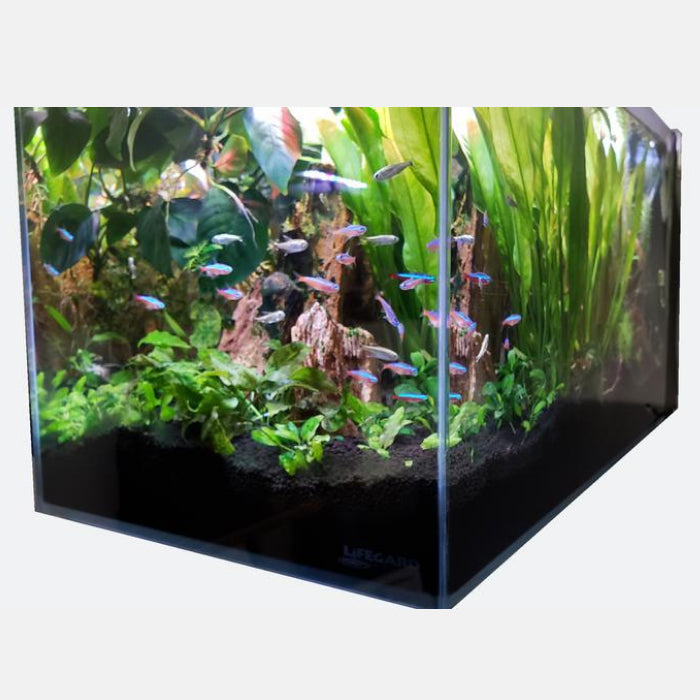 3.8 Gallon CRYSTAL 45 Degree Low Iron Ultra Clear Aquarium with Built in Side Filter-Lifegard Aquatics - Fish Tank USA