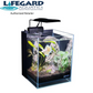 1.2 Gallon All in One Betta Tank - Low Iron Ultra Clear Aquarium - Fish Tank USA