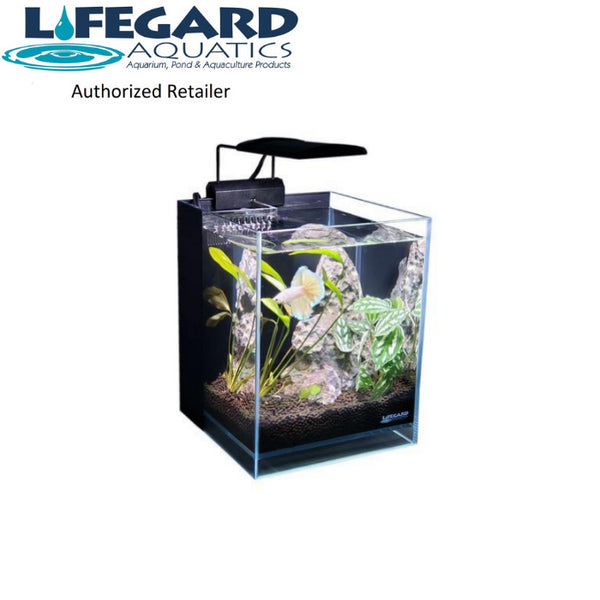 2.65 Gallons Betta 45° Degree Low Iron Ultra Clear Aquarium - Fish Tank USA