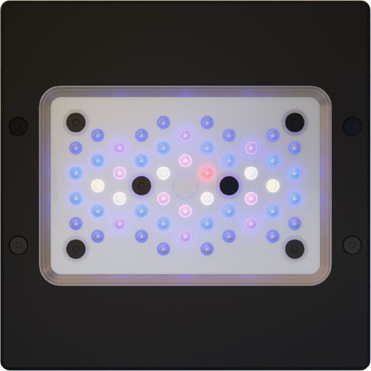 EcoTech Marine - Radion G6 XR15 Blue Aquarium LED Light Fixture