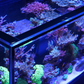 Reefer-S 850 G2+ System - 180 Gallon Premium Reef Ready Aquarium - Red Sea [New]