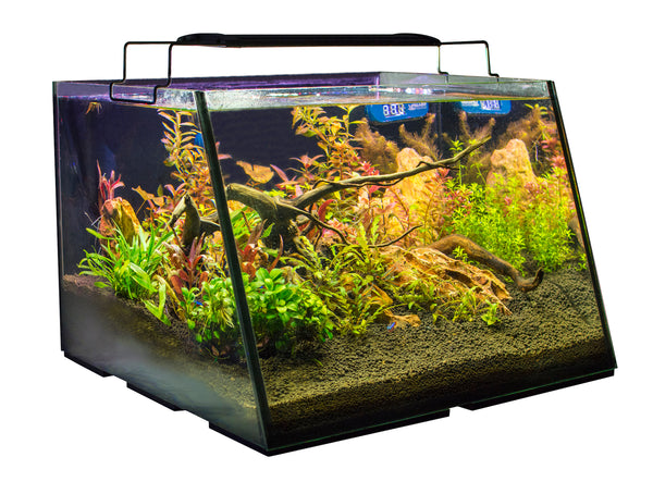 Lifegard Full-View 7 Gallon Aquarium with Built-In Back Filterand and LED Light - Fish Tank USA