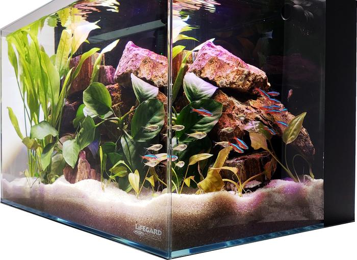 4.14 Gallon - CRYSTAL 45 Degree Low Iron Ultra Clear Aquarium with Built in Back Filter - Fish Tank USA