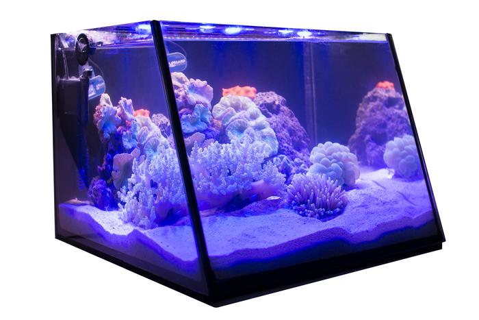 Lifegard Full-View 5 Gallon Aquarium with LED Light and Submersible Filter - Fish Tank USA