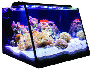 Lifegard Full-View 7 Gallon Aquarium with Built-In Back Filterand and LED Light - Fish Tank USA