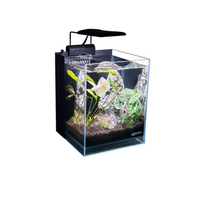 1.2 Gallon All in One Betta Tank - Low Iron Ultra Clear Aquarium - Fish Tank USA