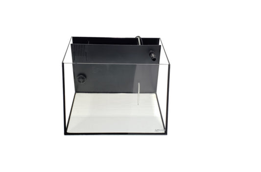 Lifegard Full-View 5 Gallon Aquarium with Built-In Back Filter and LED Light - Fish Tank USA