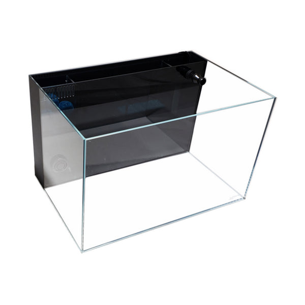 4.14 Gallon - CRYSTAL 45 Degree Low Iron Ultra Clear Aquarium with Built in Back Filter - Fish Tank USA