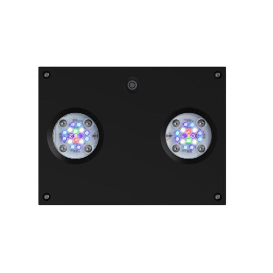 AI Hydra 32 HD LED Fixture