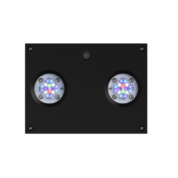 AI Hydra 32 HD LED Fixture