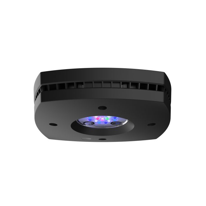 Buy The AI Hydra Prime 16 HD LED Fixture Online - Fish Tank USA