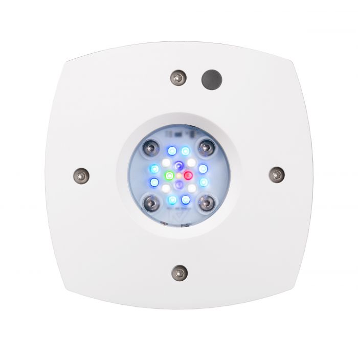 AI - Hydra Prime 16 HD LED Fixture